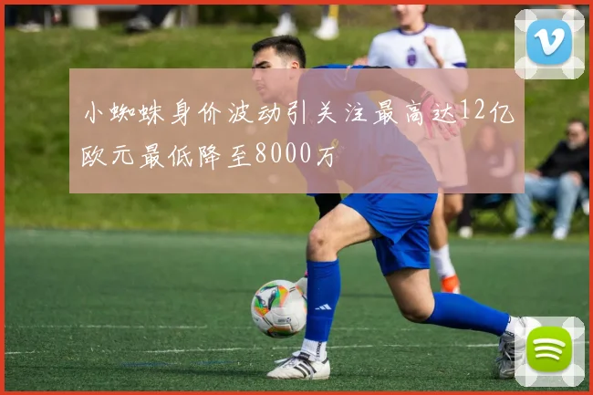 小蜘蛛身价波动引关注最高达12亿欧元最低降至8000万